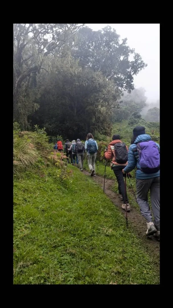 Mount Kilimanjaro trekking landscape